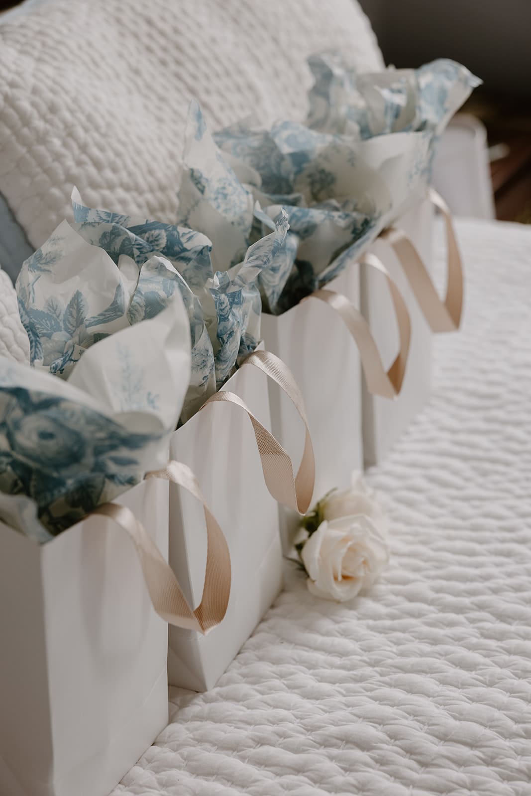 bespoke gift bags with soft ribbon and tissue